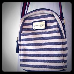 Tommy Hilfiger Small Striped Purse